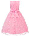 Flower Girl Embroidered Dress Sleeveless Lace Ball Gown Formal Princess Dress for Wedding Birthday Party