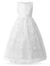 Flower Girl Embroidered Dress Sleeveless Lace Ball Gown Formal Princess Dress for Wedding Birthday Party