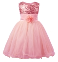 Little Girls' Sequin Mesh Flower Ball Gown Party Dress Tulle Prom Pink