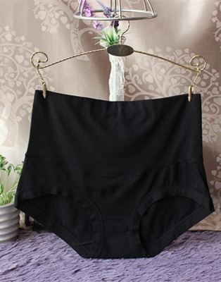 Womens Comfort High Waist Bamboo Fiber Brief Panty Black
