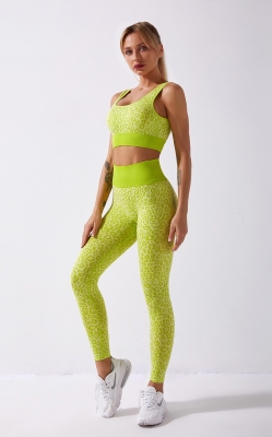 Women Seamless Yoga Wear Leopard Print Suit Sports Bra and High-Waist Fitness Pant