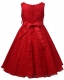 Girls Lace V Neck Flower Girl Dress for Wedding Party Ball Gown Red