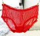 Women's Low Rise See Through Sheer Mesh Transparent Hipster Pants Red